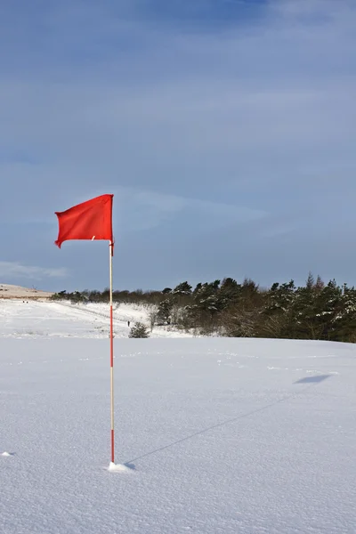 Bandeira de golfe na neve — Fotografia de Stock