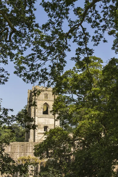 Fountains Abbey — Stock Photo, Image