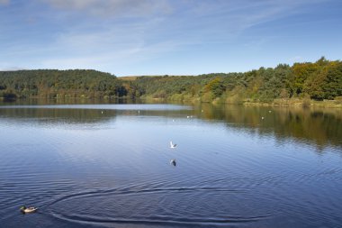 Ogden su west yorkshire