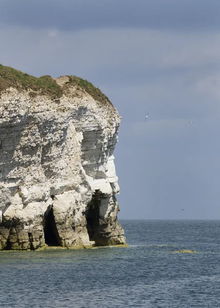 Jefe de Flamborough —  Fotos de Stock