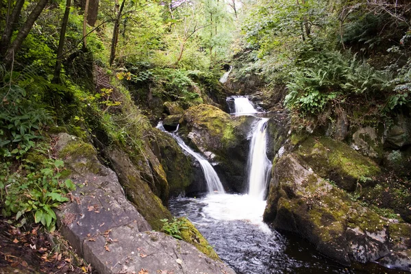 Cachoeira na floresta de outono — Fotografia de Stock