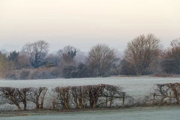 Cold and frosty morning — Stock Photo, Image