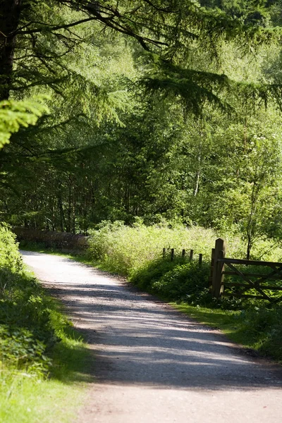 Tranquilo país faixa em yorkshire — Fotografia de Stock