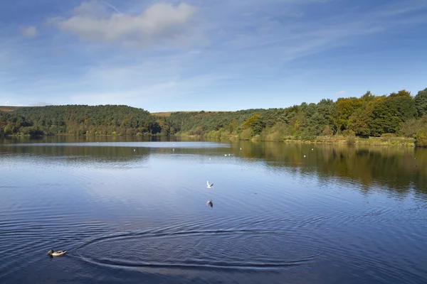 Ogden vatten west yorkshire — Stockfoto