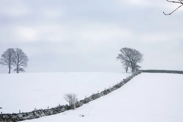 Aussichtsreicher Schnee — Stockfoto