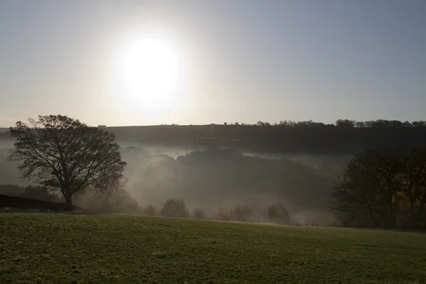 Mystische Morgendämmerung — Stockfoto