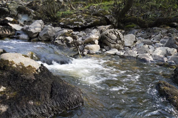 Flowing Stream