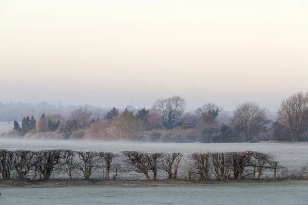 Cold and frosty morning — Stock Photo, Image