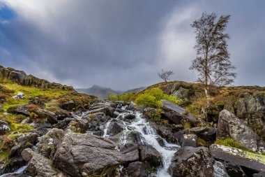 Snowdonia Ulusal Parkı 'nda Şelale, Kuzey Galler.