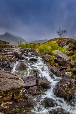 Snowdonia Ulusal Parkı 'nda Şelale, Kuzey Galler.