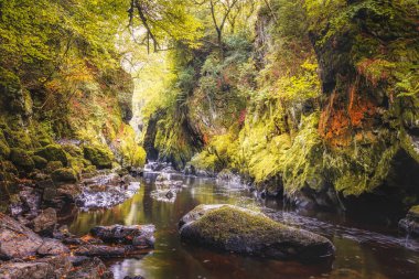 The Fairy Glen ve River Conwy, Betws y Coed yakınlarında, Snowdonia Ulusal Parkı, Kuzey Galler, İngiltere