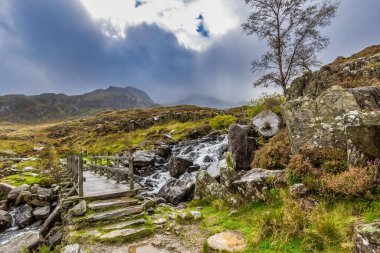 Kuzey Galler 'deki Snowdonia Ulusal Parkı' na giden tahta köprü..