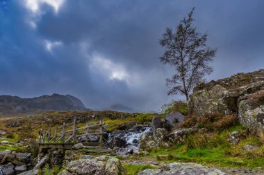 Kuzey Galler 'deki Snowdonia Ulusal Parkı' na giden tahta köprü..