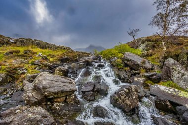 Snowdonia Ulusal Parkı 'nda Şelale, Kuzey Galler.