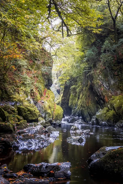 Fairy Glen River Conwy Betws Coed Yakınlarında Snowdonia Ulusal Parkı — Stok fotoğraf