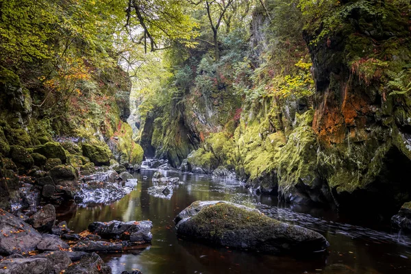 Fairy Glen River Conwy Betws Coed Snowdonia National Park North — Fotografia de Stock