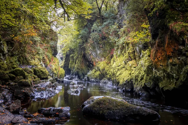 Fairy Glen River Conwy Betws Coed Snowdonia National Park North — Stock fotografie