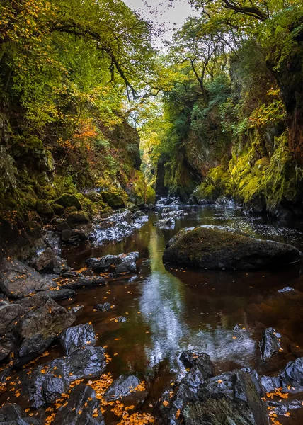 Fairy Glen River Conwy Betws Coed Snowdonia National Park North — Stock fotografie