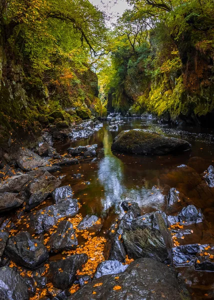 Fairy Glen River Conwy Betws Coed Snowdonia National Park North — Fotografia de Stock