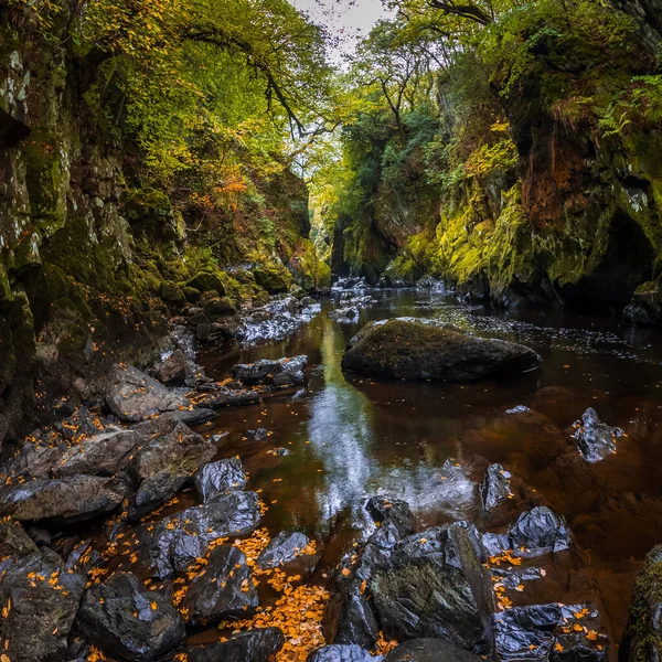 Fairy Glen River Conwy Betws Coed Snowdonia National Park North — стокове фото