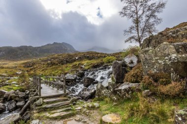 Kuzey Galler 'deki Snowdonia Ulusal Parkı' na giden tahta köprü..