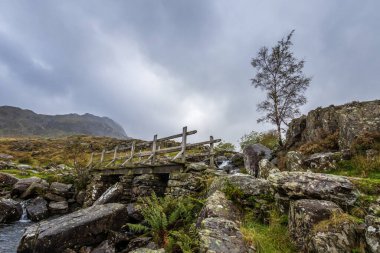 Kuzey Galler 'deki Snowdonia Ulusal Parkı' na giden tahta köprü..