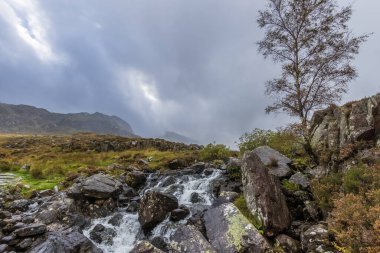 Snowdonia Ulusal Parkı 'nda Şelale, Kuzey Galler.