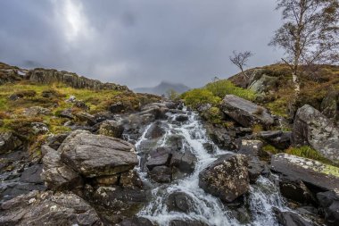Snowdonia Ulusal Parkı 'nda Şelale, Kuzey Galler.