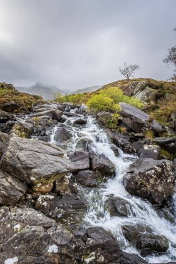 Snowdonia Ulusal Parkı 'nda Şelale, Kuzey Galler.
