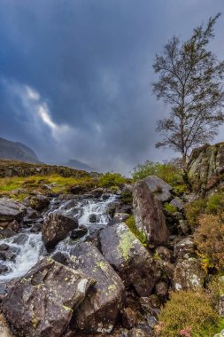 Snowdonia Ulusal Parkı 'nda Şelale, Kuzey Galler.