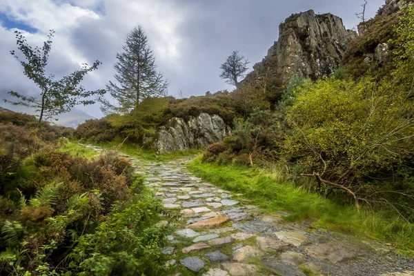 Paisagem Deslumbrante Snowdonia National Park North Wales Imagem De Stock