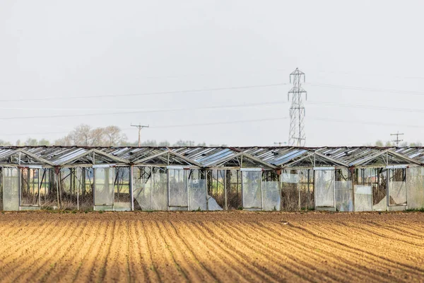 Row Derelict Abandoned Greenhouses — Stock Photo, Image
