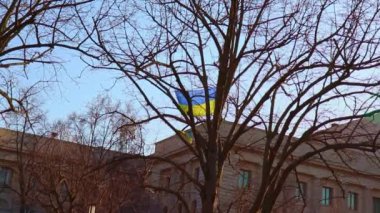 Ukrayna bayrağı Berlin 'deki Rusya Federasyonu Büyükelçiliği önündeki ağaca sabitlendi