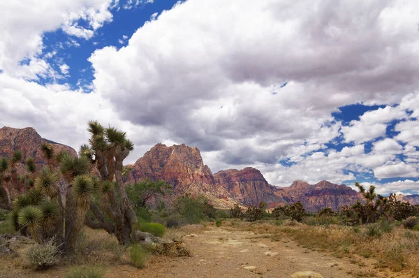 Bild Red Rock Canyon Södra Nevada Visas Solig Sommardag Med — Stockfoto