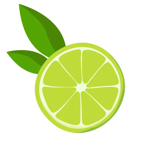 Lime con foglie di menta . — Vettoriale Stock