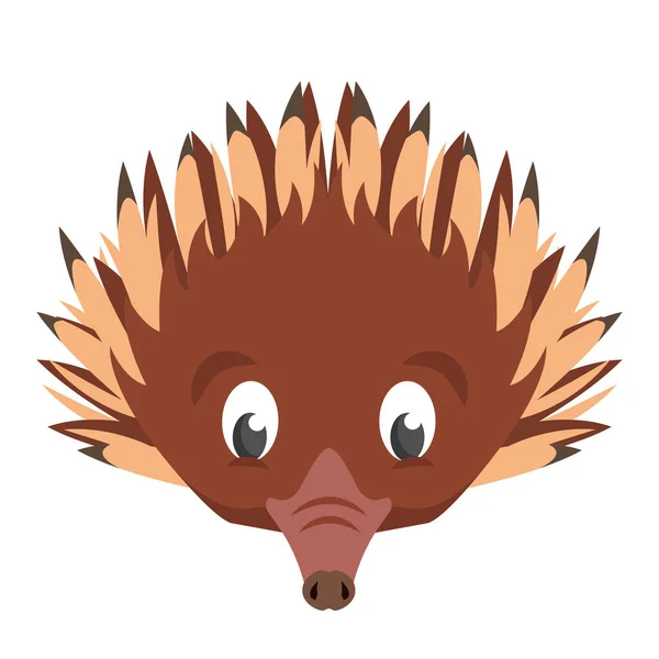 Echidna face front view. — 스톡 벡터