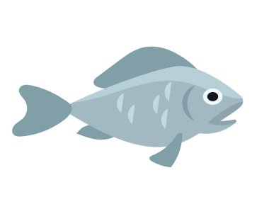 Balık kenarı görünümü.