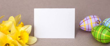 Paskalya yerleşimi nergislerle ve ortasında yazı için yeri olan yumurtalarla. Mesaj için yer. Mutlu Paskalyalar. Pankart. Tebrik kartı.