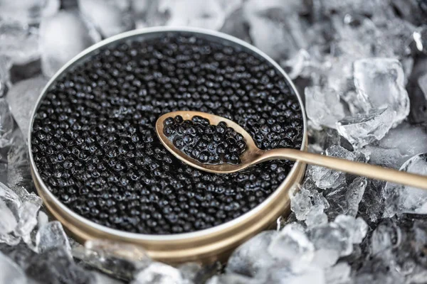 Caviar noir en boîte sur glace avec cuillère Photos De Stock Libres De Droits