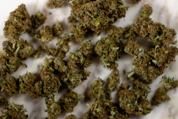 Kurumuş Tıbbi Marihuana Tomurcukları Mermer Bir Arka Planda Yatıyor — Stok fotoğraf