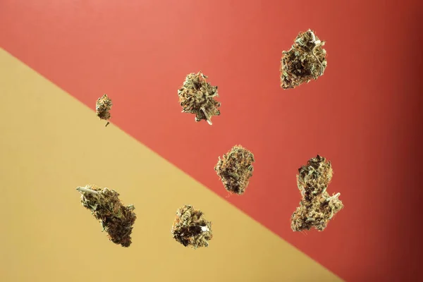 Dry Buds Medical Marijuana Fly Yellow Orange Background — Stockfoto