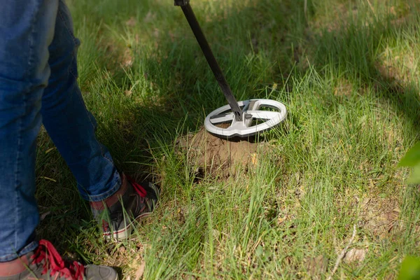 The coil of a wireless metal detector and the legs of a man looking for treasure over a dug hole in the background of the forest.