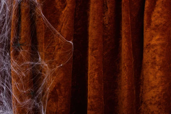 Halloween Composition Spiderwebs Spiders Velvet Curtain Background Halloween Party Greeting — Stock Photo, Image