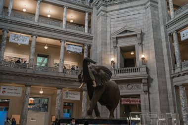 Smithsonian dilinde fil taklidi.