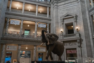 Smithsonian dilinde fil taklidi.