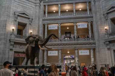 Smithsonian dilinde fil taklidi.