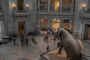 Smithsonian dilinde fil taklidi.