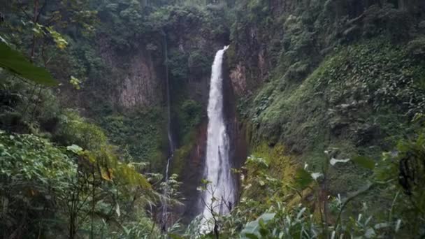 Bajos del Toro Waterfall - Costa Rica — Stock Video