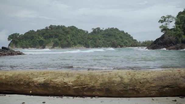 Parque Nacional Manuel Antonio Costa Rica Log in Costa Rica — Vídeo de Stock