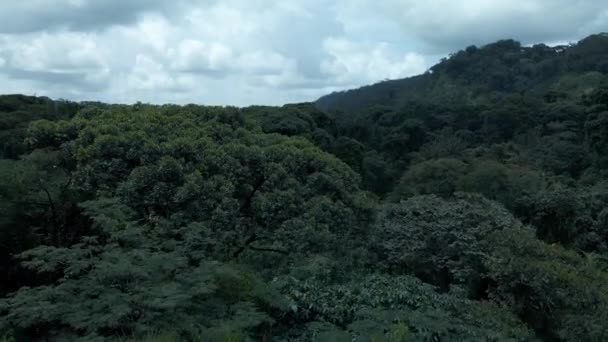 코스타리카 중부의 열 대 우림 과밀림 위를 날고 있는 드론 — 비디오